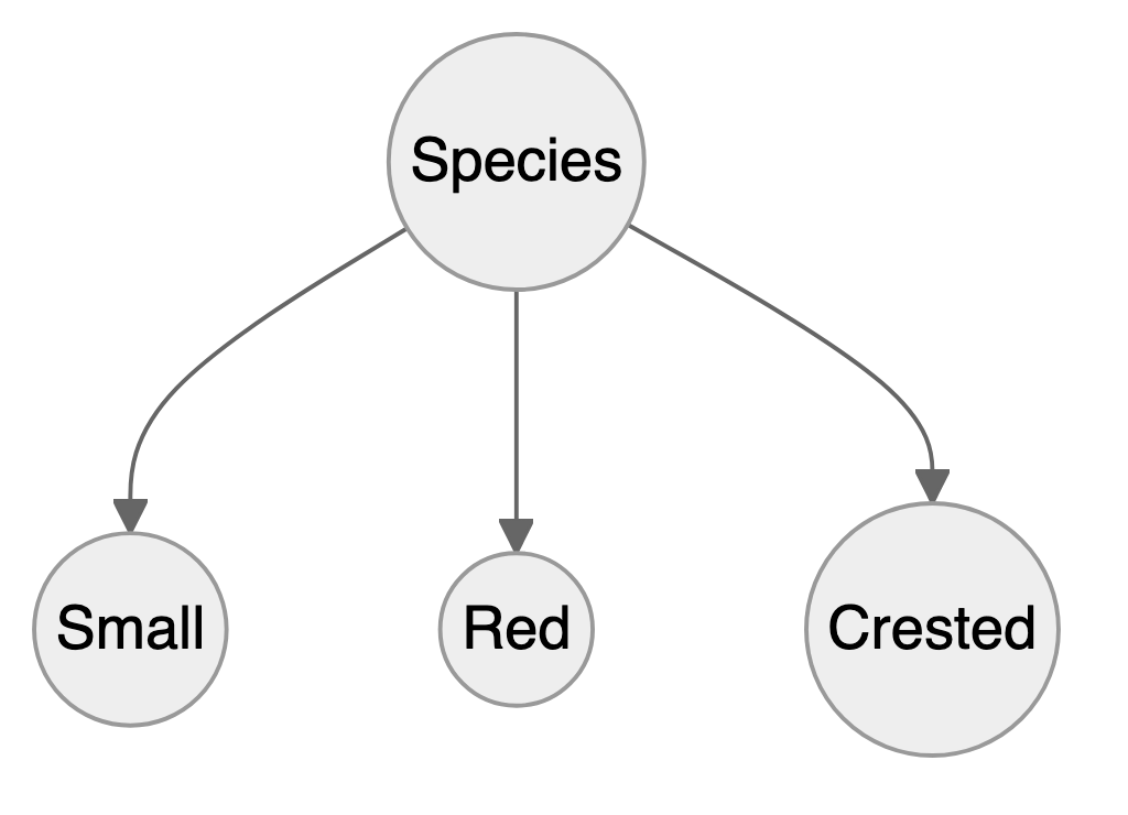 A graph in which the node Species points to the three nodes Small, Red and Crested.